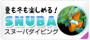 夏も冬も楽しめるダイビング！ スヌーバ