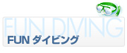 �n���C �t�@���_�C�r���O